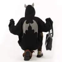 Zip-худі “Bat“