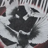 Футболка-oversize “Fly Together”