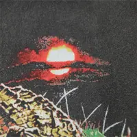 Худі “Destructive nppetite”