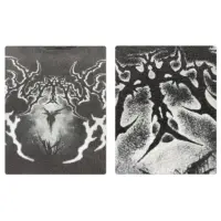 Лонгслів «Shadow Beast» - Зображення 6