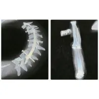 Футболка «X-Ray 12» - Зображення 5